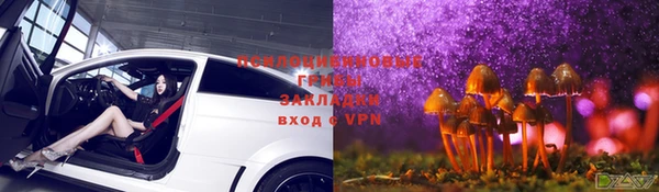 хмурый Арсеньев