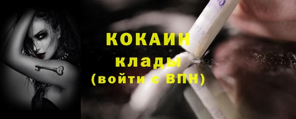 хмурый Арсеньев