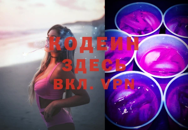 хмурый Арсеньев