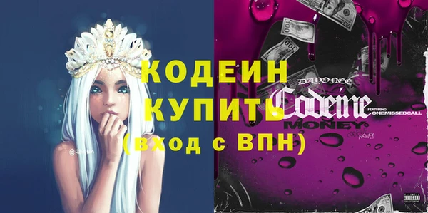 хмурый Арсеньев