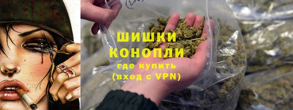 хмурый Арсеньев