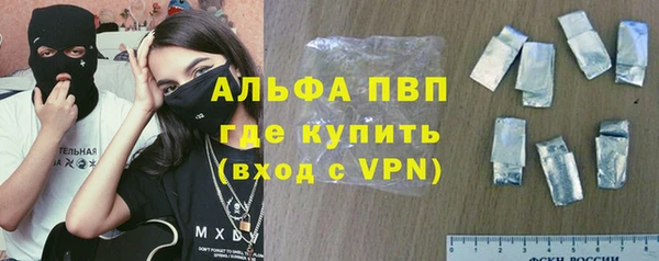 хмурый Арсеньев