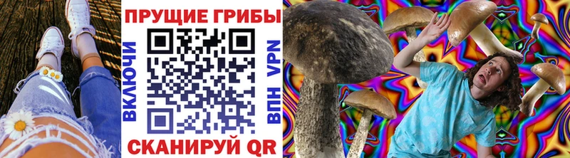 Псилоцибиновые грибы Cubensis  Калязин 